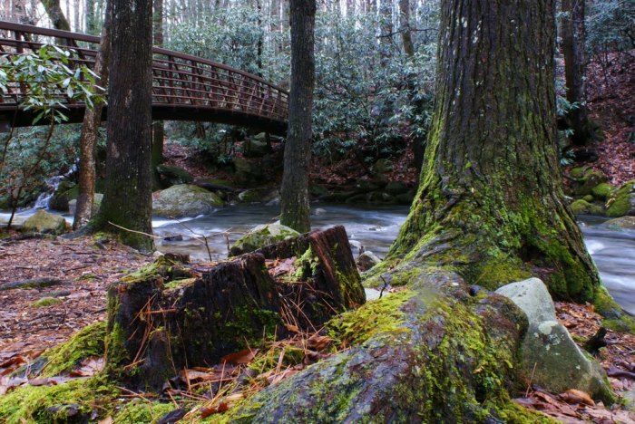 jones gap